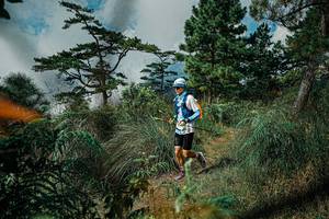 BIB: 
                            <button type="button" onclick="openModal(25258055)" class="btn btn-primary btn-sm float-right btn-popup" data-toggle="modal" data-target=".modal-high-quality">
                        <i class="fas fa-shopping-cart"></i> Add to Cart
                    </button>
                                            <button type="button" onclick="isThisMe(25258055, true)" class="btn btn-success btn-sm float-right btn-popup btn-isme hidden" data-toggle="tooltip" data-placement="bottom" title="นี่คือรูปของคุณใช่ไหม คลิกที่นี่เพื่อเอาเข้าอัลบั้ม">
                        <i class="fas fa-plus"></i> Add to album
                    </button>
                    <button type="button" onclick="isThisMe(25258055, false)" class="btn btn-warning btn-sm float-right btn-popup btn-isnotme hidden">
                        <i class="fas fa-ban"></i> Remove from album
                    </button>